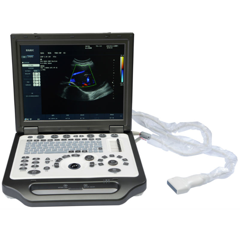 Smart 3 real-time synchronous ultrasonic imaging scientific research and teaching integrated system